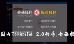 如何购买国内Tokenim 2.0的币:全面指南与技巧