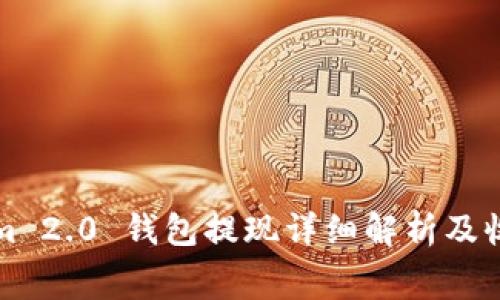 Tokenim 2.0 钱包提现详细解析及收费指南