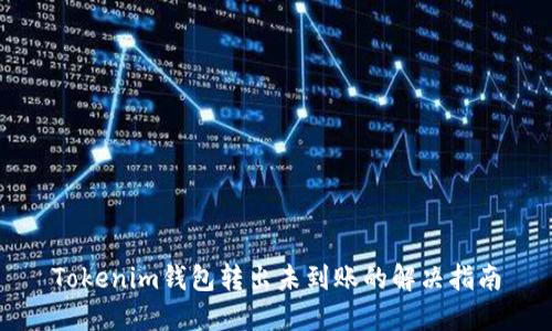 Tokenim钱包转出未到账的解决指南