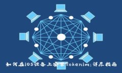 如何在iOS设备上安装Tokenim:详尽指南