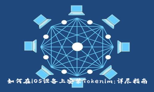 如何在iOS设备上安装Tokenim:详尽指南