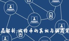 区块链骗局解析：比特币的真相与骗局背后的黑