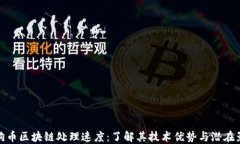 狗狗币区块链处理速度:了解其技术优势与潜在
