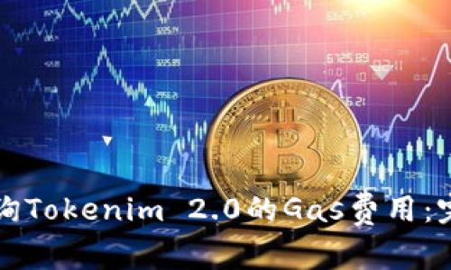 如何查询Tokenim 2.0的Gas费用：完整指南