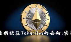 如何查找被盗Tokenim的去向:实用指南