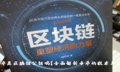 币乎是区块链公链吗?全面解析币乎的技术与应