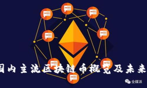 2023年国内主流区块链币概览及未来发展趋势