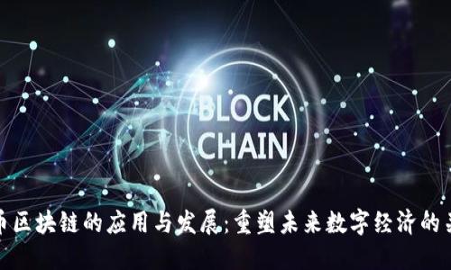 无币区块链的应用与发展:重塑未来数字经济的关键
