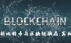 深入分析比特币与区块链骗局：真相与误区