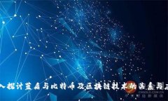 深入探讨蓝盾与比特币及区块链技术的关系与应