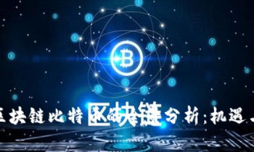 投资区块链比特币的全景分析:机遇与挑战