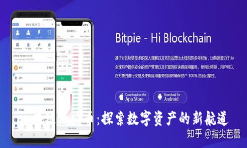 区块链海盗币:探索数字资产的新航道
