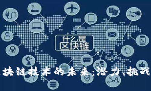 比特币与区块链技术的未来:潜力、挑战与应用前景