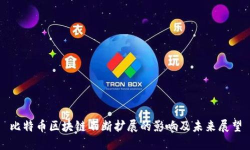 比特币区块链不断扩展的影响及未来展望