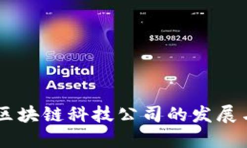 币购国际区块链科技公司的发展与未来展望