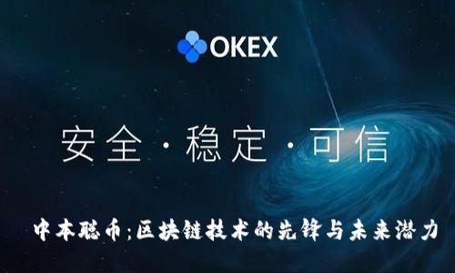 中本聪币:区块链技术的先锋与未来潜力