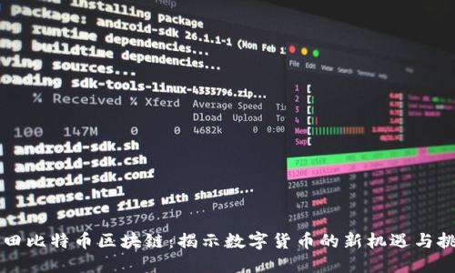 莆田比特币区块链:揭示数字货币的新机遇与挑战