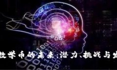 区块链数学币的未来:潜力、挑战与发展趋势