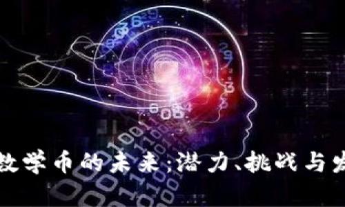 区块链数学币的未来:潜力、挑战与发展趋势