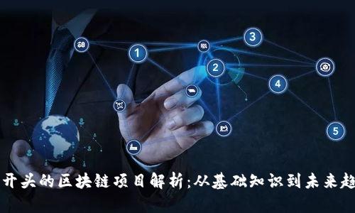 币开头的区块链项目解析:从基础知识到未来趋势