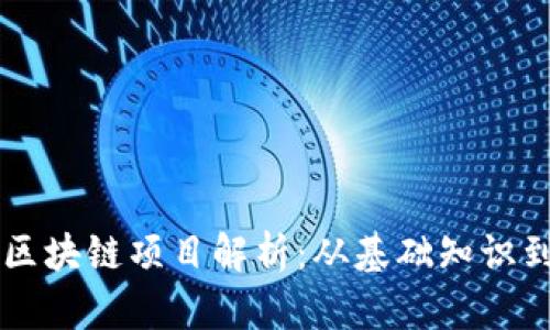 币开头的区块链项目解析:从基础知识到未来趋势