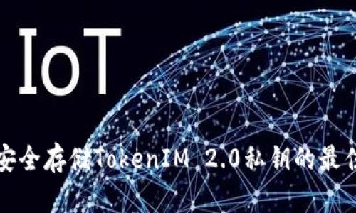 如何安全存储TokenIM 2.0私钥的最佳实践