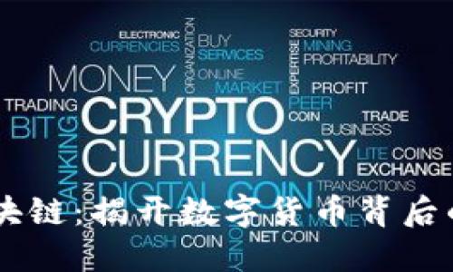 币狗解读区块链:揭开数字货币背后的技术与应用