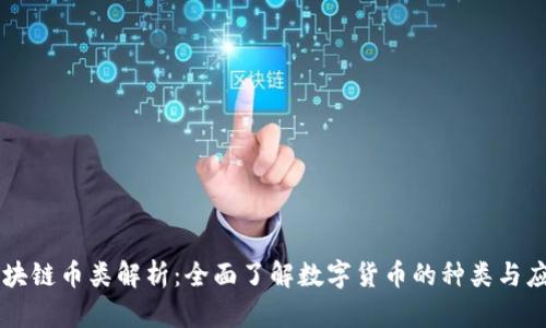 区块链币类解析:全面了解数字货币的种类与应用
