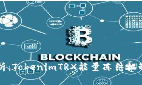 全面解析:TokenimTRX能量冻结机制与应用