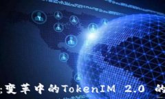中炎投资:变革中的TokenIM 2.0 的未来之路