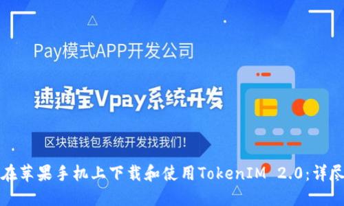 如何在苹果手机上下载和使用TokenIM 2.0：详尽指南
