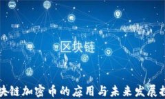 区块链加密币的应用与未来发展探讨