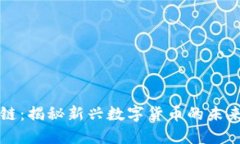布币区块链:揭秘新兴数字货币的未来发展趋势