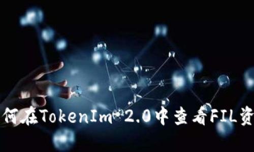 如何在TokenIm 2.0中查看FIL资产