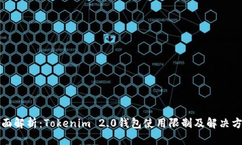 全面解析:Tokenim 2.0钱包使用限制及解决方案