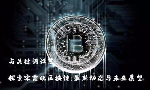 与关键词设置
探索宋霞晓区块链:最新动态与未来展望