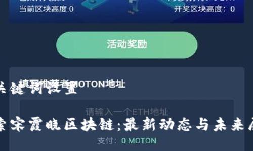 与关键词设置
探索宋霞晓区块链:最新动态与未来展望