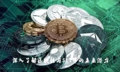 深入了解区块链与SLT币的未来潜力