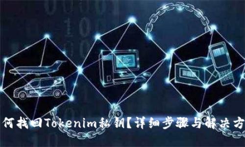 如何找回Tokenim私钥?详细步骤与解决方案