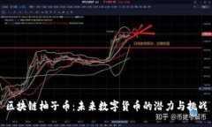 区块链柚子币:未来数字货币的潜力与挑战