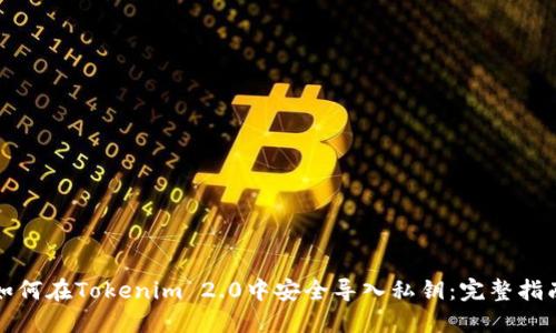 如何在Tokenim 2.0中安全导入私钥：完整指南