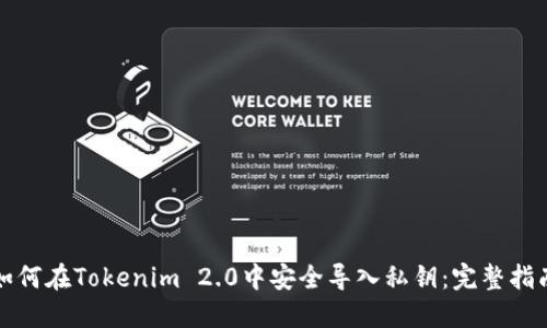 如何在Tokenim 2.0中安全导入私钥：完整指南