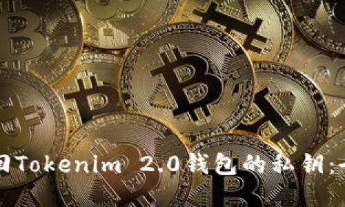 如何找回Tokenim 2.0钱包的私钥：全面指南