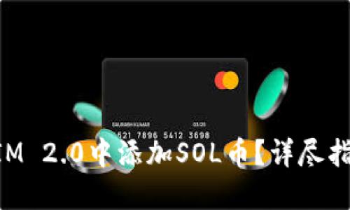 如何在TokenIM 2.0中添加SOL币?详尽指南与实用技巧