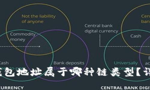 Tokenim 2.0 钱包地址属于哪种链类型？详解其特性与应用
