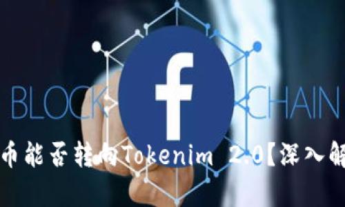 ### Pi币能否转向Tokenim 2.0？深入解析与展望