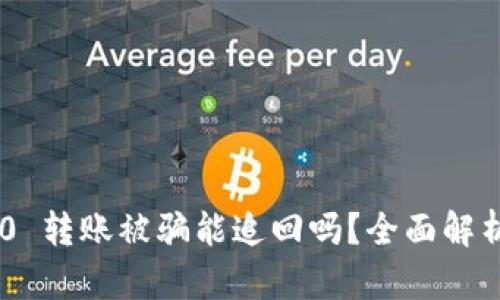 Tokenim 2.0 转账被骗能追回吗？全面解析与应对策略