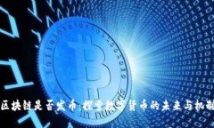 区块链是否发币:探索数字货币的未来与机制