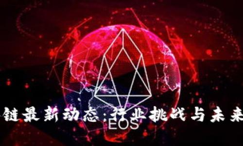 区块链最新动态:行业挑战与未来展望