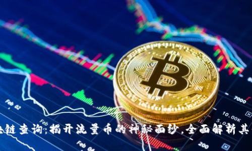 流量币区块链查询:揭开流量币的神秘面纱,全面解析其价值与未来
